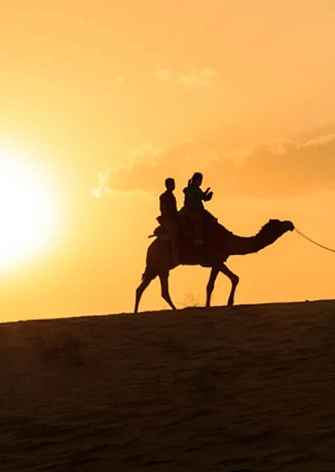 Randonnée à dos de chameau